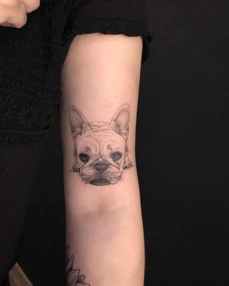 Buldogue francês em traço fino no braço